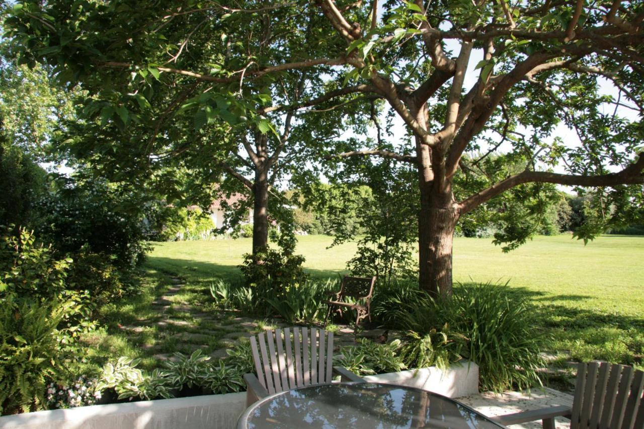 Pietrasanta - Versilia - Villa Arzilla Garden Con Piscina トンファーノ エクステリア 写真