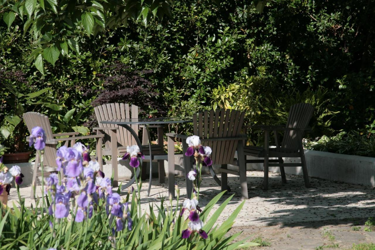 Pietrasanta - Versilia - Villa Arzilla Garden Con Piscina トンファーノ エクステリア 写真
