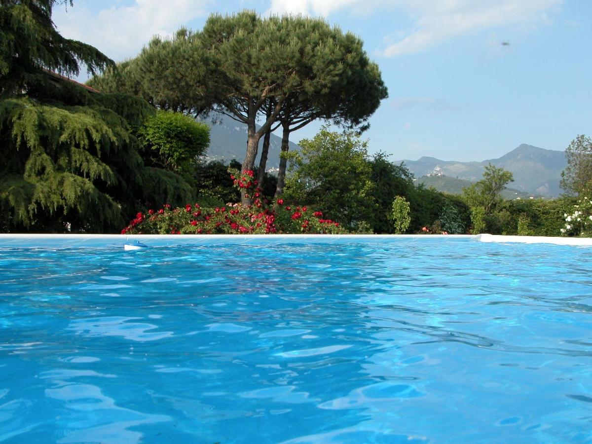 Pietrasanta - Versilia - Villa Arzilla Garden Con Piscina トンファーノ エクステリア 写真