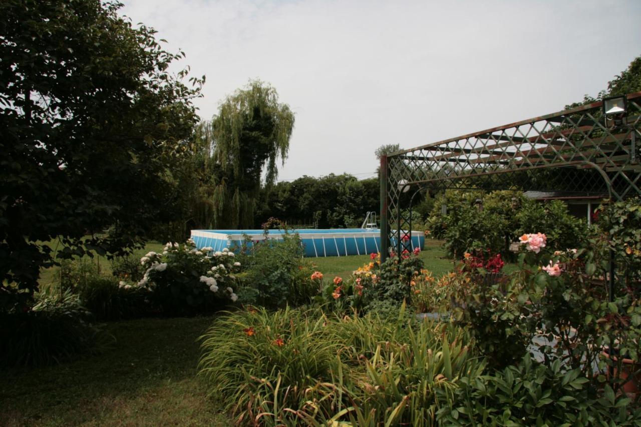 Pietrasanta - Versilia - Villa Arzilla Garden Con Piscina トンファーノ エクステリア 写真
