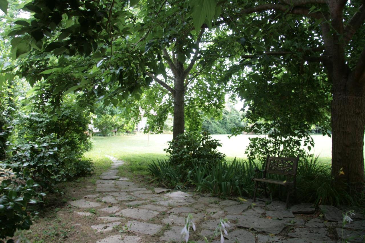 Pietrasanta - Versilia - Villa Arzilla Garden Con Piscina トンファーノ エクステリア 写真