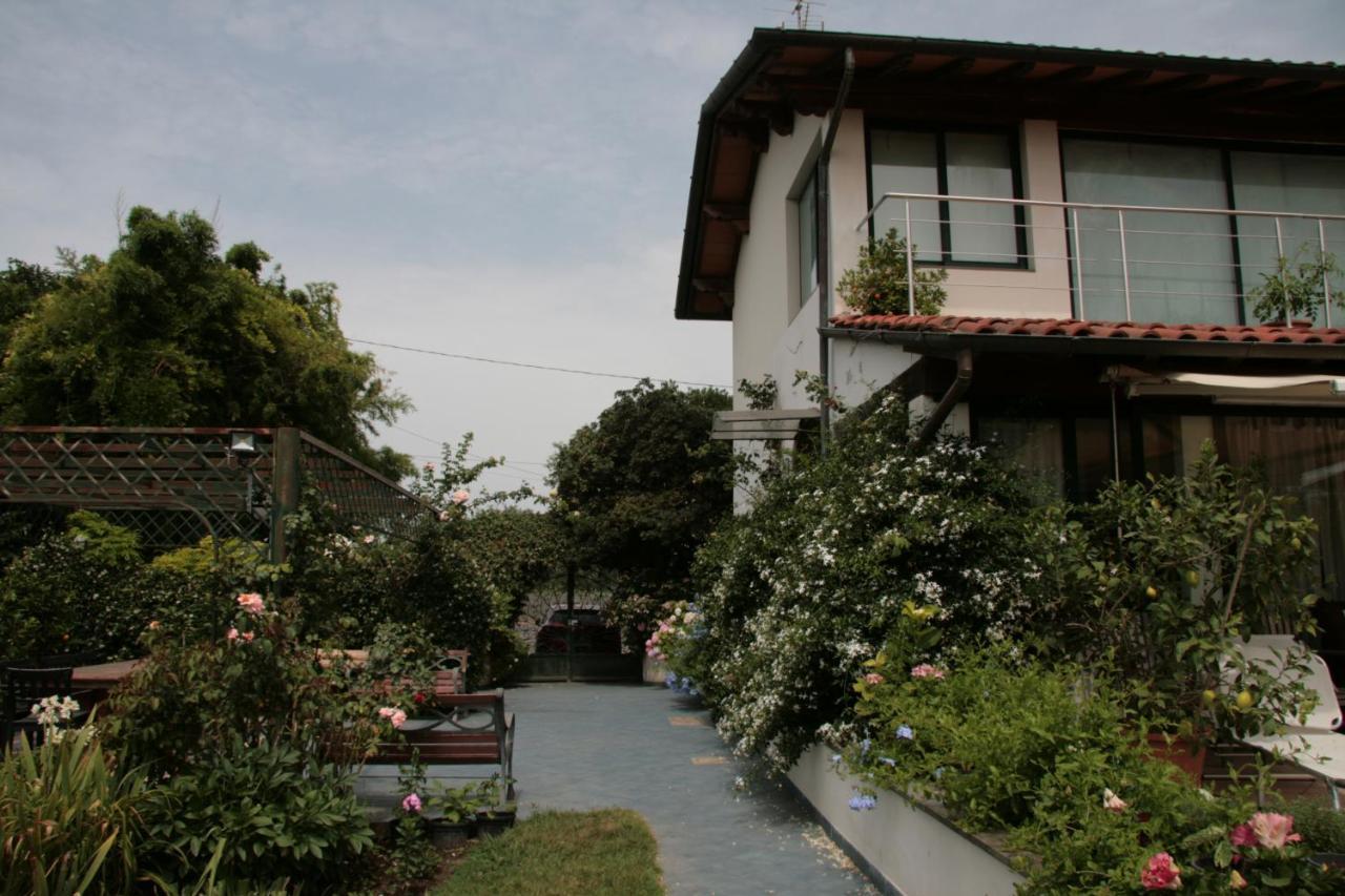 Pietrasanta - Versilia - Villa Arzilla Garden Con Piscina トンファーノ エクステリア 写真