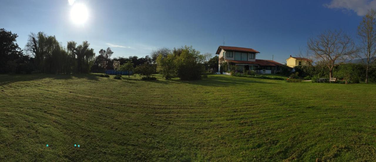 Pietrasanta - Versilia - Villa Arzilla Garden Con Piscina トンファーノ エクステリア 写真